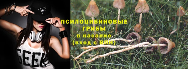 spice Аркадак